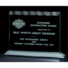 Tidal Wave Acrylic Award on Acrylic Base.