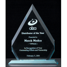 Arrow Series Acrylic Award on Acrylic Base.